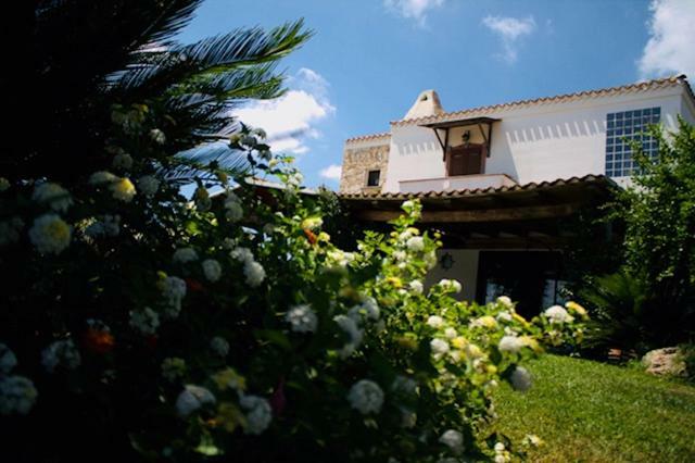 Villa Silvia Apartment Olmedo Kültér fotó
